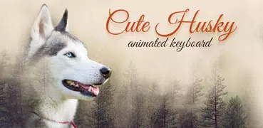 Cute Husky Wallpaper HD Theme