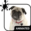 Cute Pug Keyboard Wallpaper HD APK
