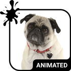 Cute Pug Keyboard Wallpaper HD icon