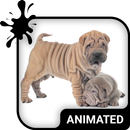 Cute Puppies Wallpaper Theme-APK