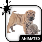 Cute Puppies Wallpaper Theme icône