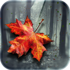Autumn Wallpaper HD Live Theme biểu tượng