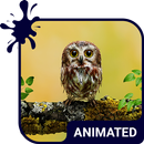 Baby Owl Live Wallpaper Theme APK