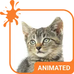 Baixar Tabby Cat Live Wallpaper Theme APK