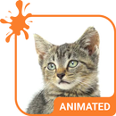 Tabby Cat Live Wallpaper Theme APK