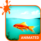 Golden Fish HD Wallpaper Theme icône