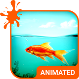 Golden Fish HD Wallpaper Theme
