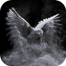 Ghost Eagle Wallpaper HD Theme APK