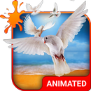 Doves Live Wallpaper Theme APK