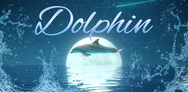 Dolphin Keyboard Wallpaper HD