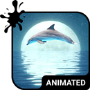 Dolphin Keyboard Wallpaper HD-APK