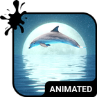 Dolphin Keyboard Wallpaper HD icône