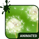 Dandelion Live Wallpaper Theme APK
