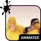 Ducklings Live Wallpaper Theme biểu tượng