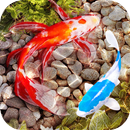 3D Fish Tank Live Wallpaper APK