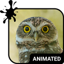 Funny Owl Keyboard & Wallpaper APK
