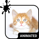 Kitty Cat Animated Keyboard +  icône