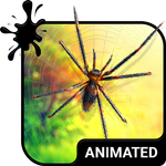 Spider Keyboard & Wallpaper icon