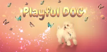 Playful Dog Wallpaper