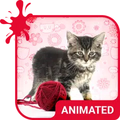 Pretty Cat Wallpaper