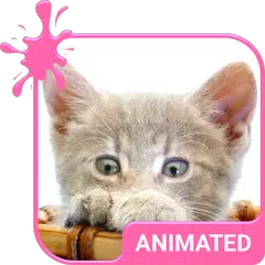 Pretty Kitty Wallpaper