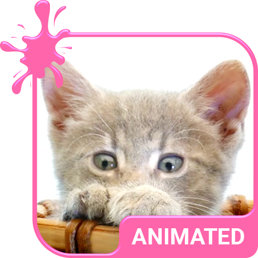 Pretty Kitty Animated Keyboard