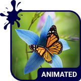 Butterfly Live Wallpaper Theme icon