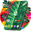Tropical Rain Wallpaper Theme APK