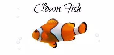 Clownfisch Live Hintergrund