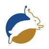 Rabbit - by Patel Wealth APK