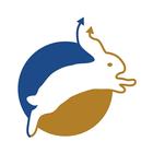 آیکون‌ Rabbit