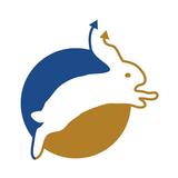 Rabbit - by Patel Wealth APK