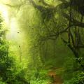 Relaxing Music