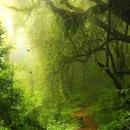 Relaxing Music APK