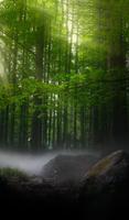 Relaxing Music اسکرین شاٹ 2