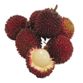 Buah Pulasan