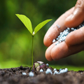 ”Urea Fertilizer