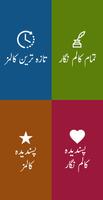 Urdu Columns Affiche