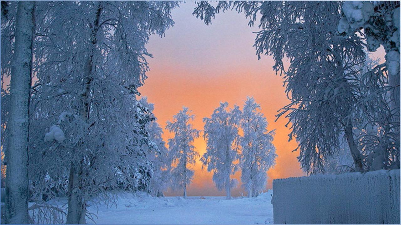 Best winter. Сказочная зимняя Поляна. Настоящая зимняя сказка. Зимняя сказка природа настоящая. Сказочный лес начало зимы.