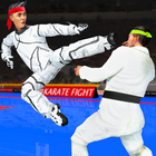 Karate Master KungFu Boxing Final Punch Fighting icône