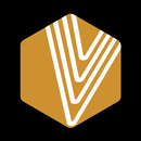 VIP Store APK