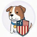 Fast VPN USA - VPN + Video APK
