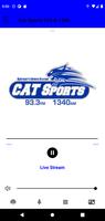 Cat Sports 933 & 1340 Affiche