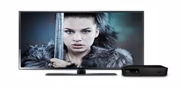 WD TV Remote