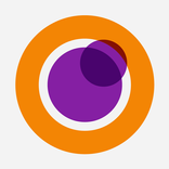 Neuro-Ophtalmologie Pratique