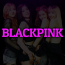 Blackpink Name Live Wallpaper-APK