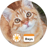 Weather Cat: Cat Calendar APK