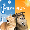 Cat & Dog Weather