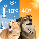 Icona Cat & Dog Weather