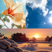 weatherWorld APK
